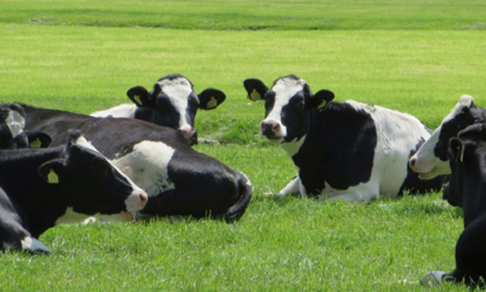 どのような症状に注意すべきですか?